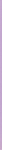 Lilac bacc. vetro specchiato