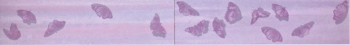 Cielo Fartalle Lavanda Inserto Mix 2 - Керамическая плитка FAP Ceramiche Cielo