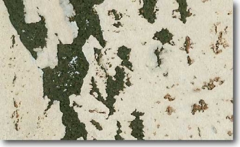 Малага Абедуль - Настенное покрытие Ibercork (Иберкорк) Пробковые пластины